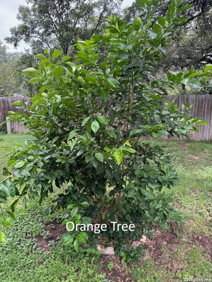 main property photo 45