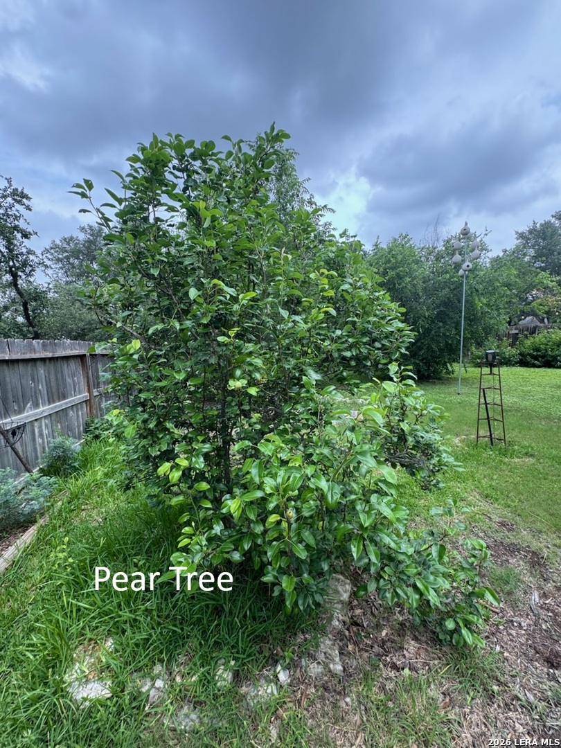main property photo 46