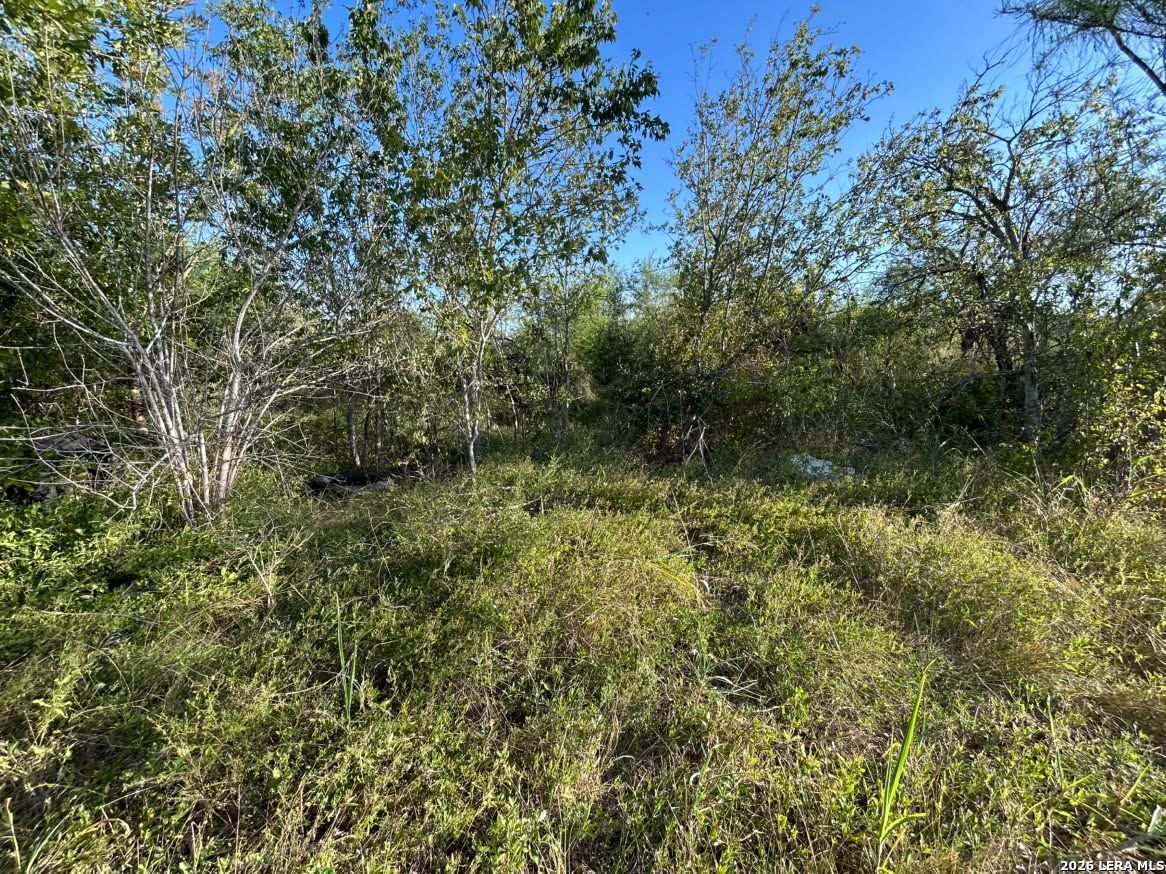 main property photo 6