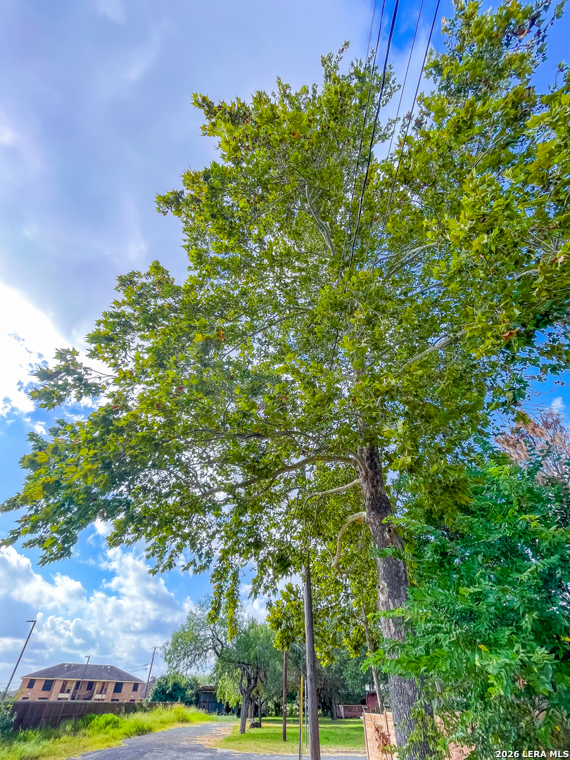 main property photo 28