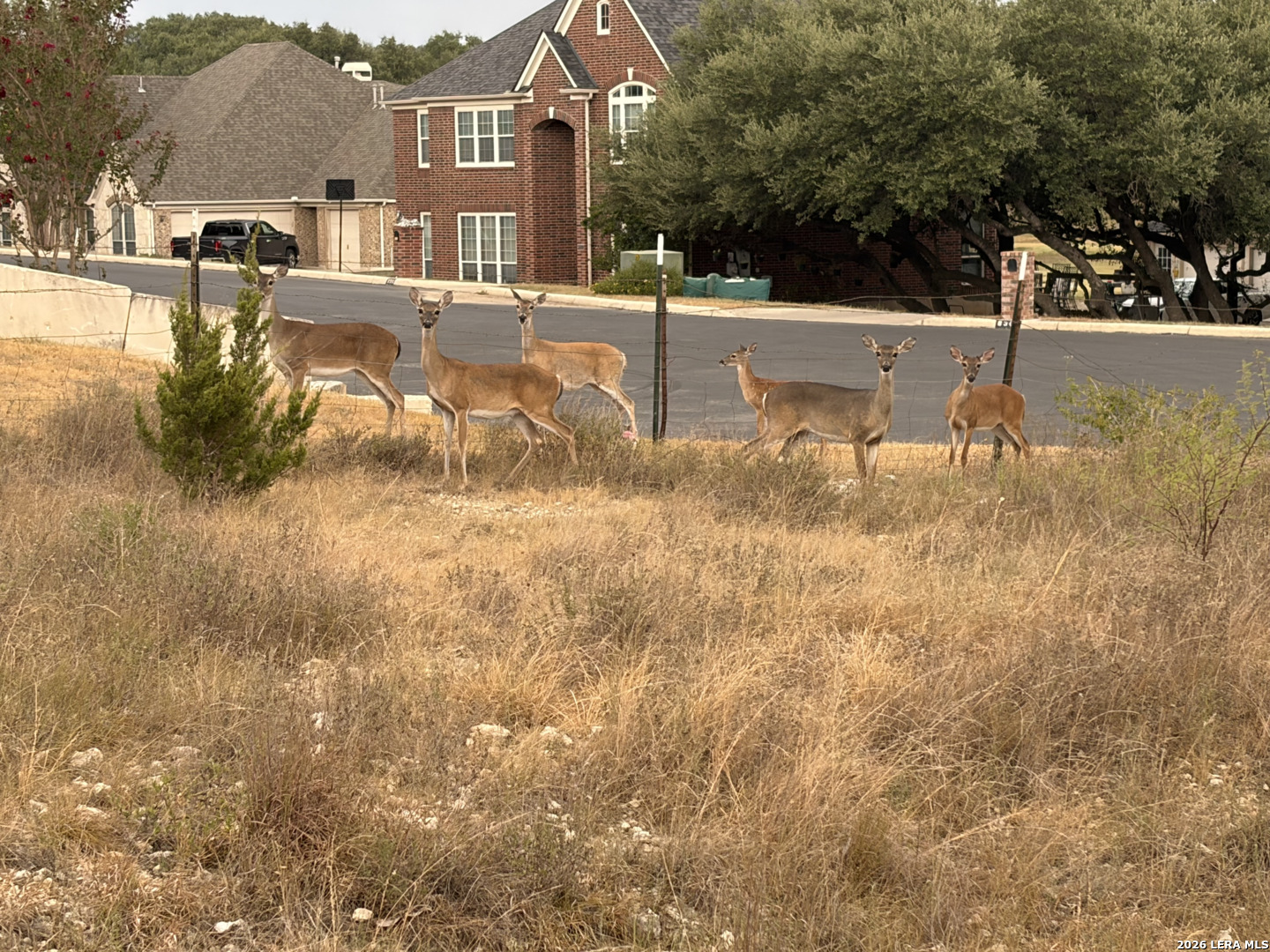 main property photo 35