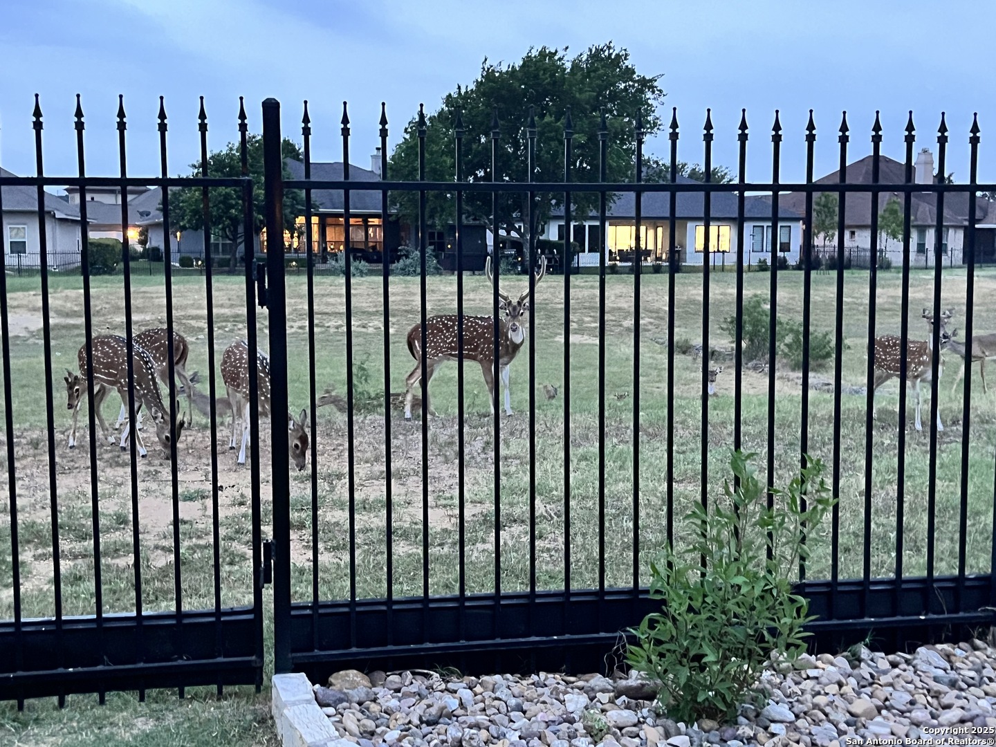 main property photo 35