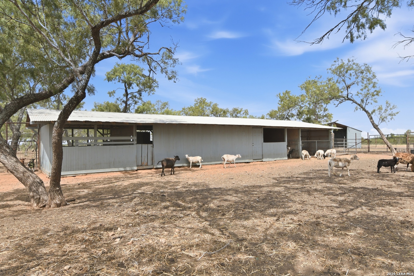 main property photo 53