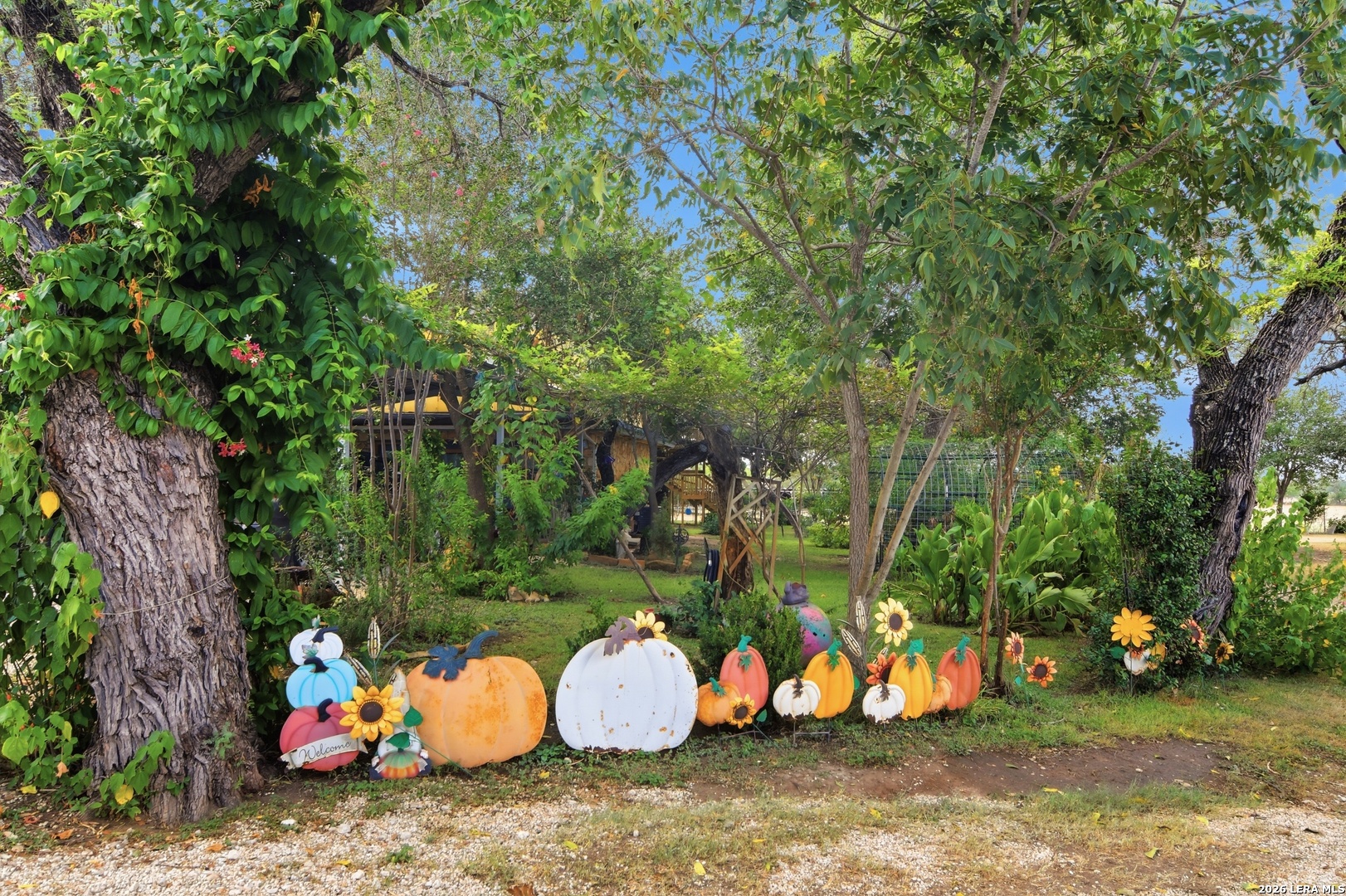main property photo 58