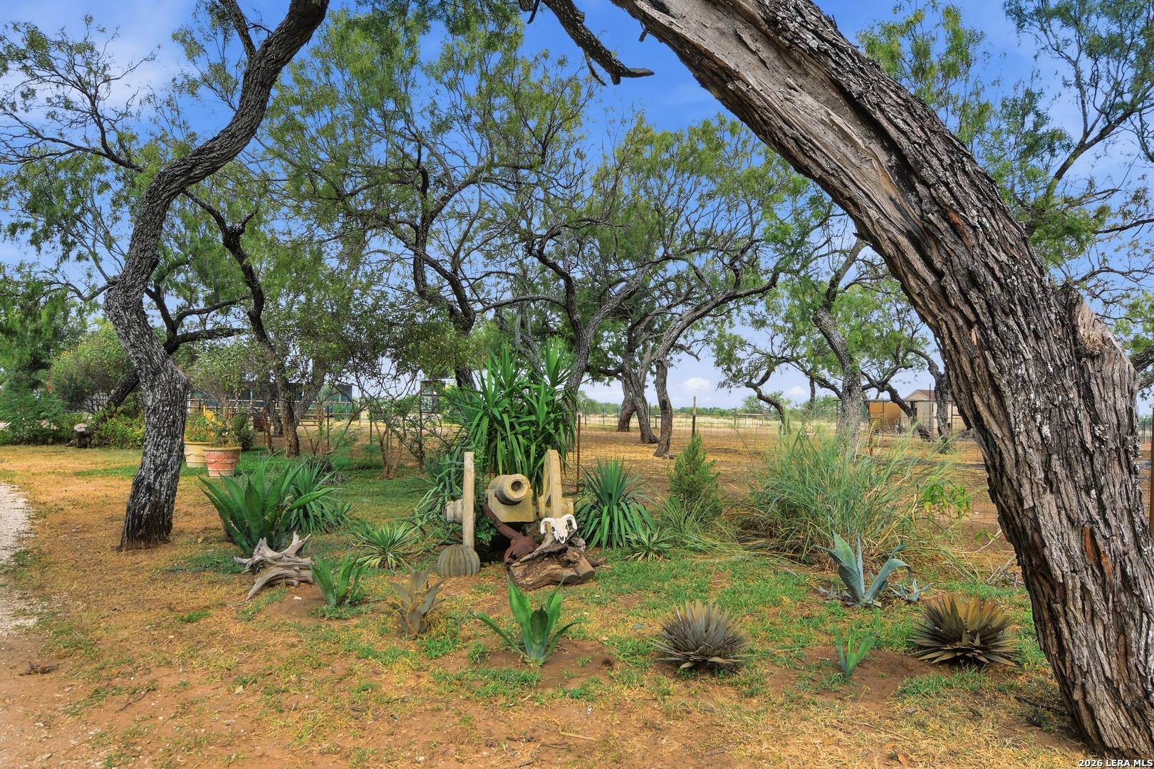 main property photo 71