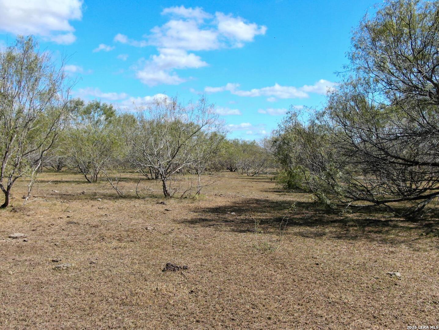 main property photo 11
