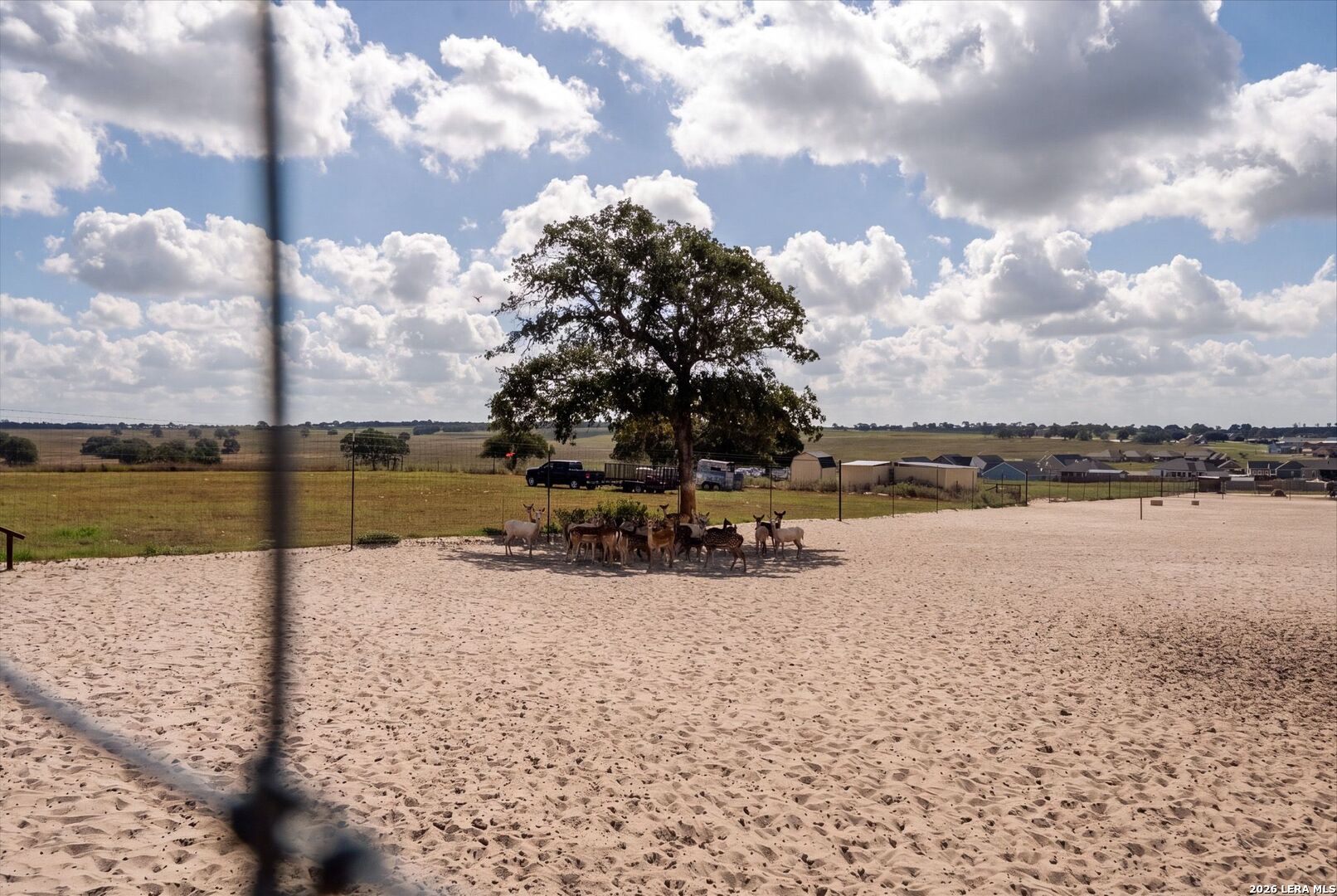 main property photo 52