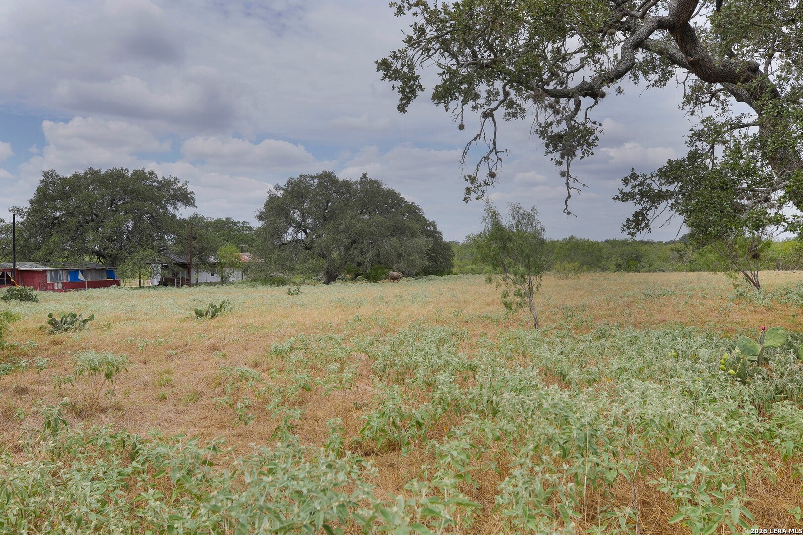 main property photo 41
