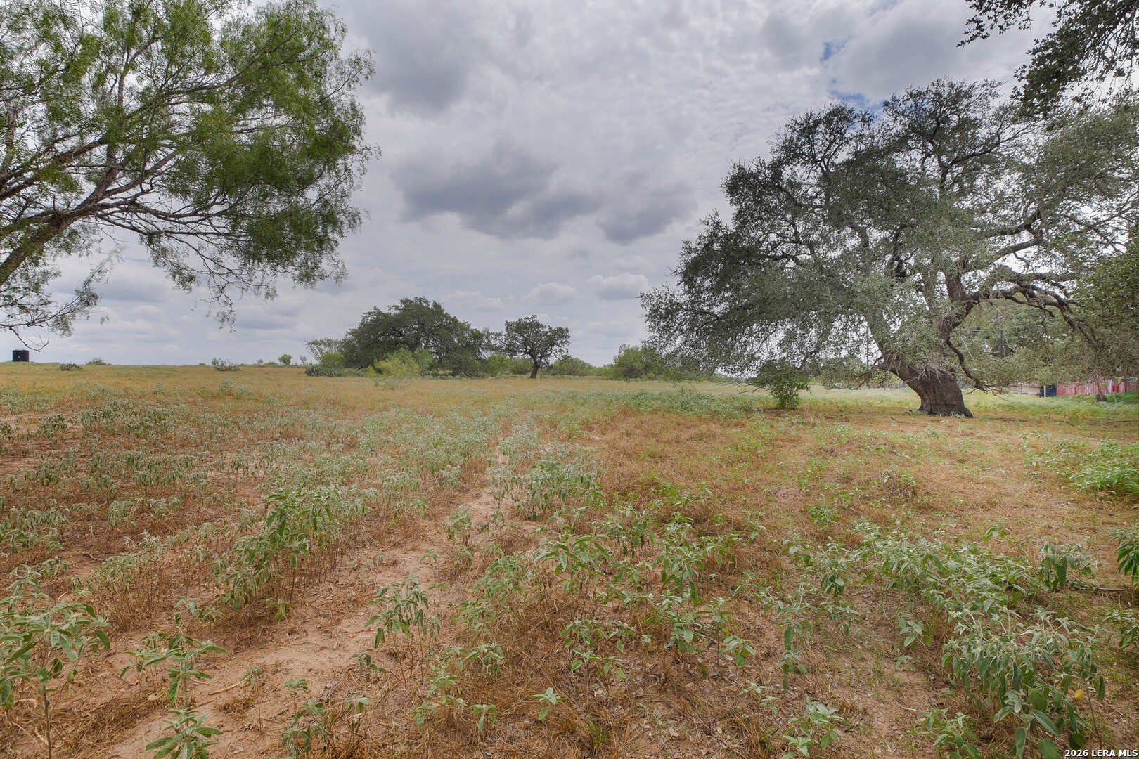 main property photo 46