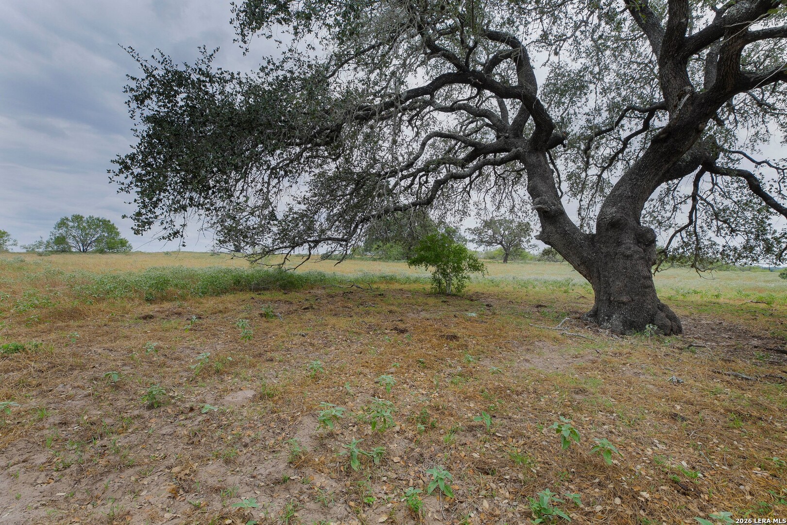 main property photo 47
