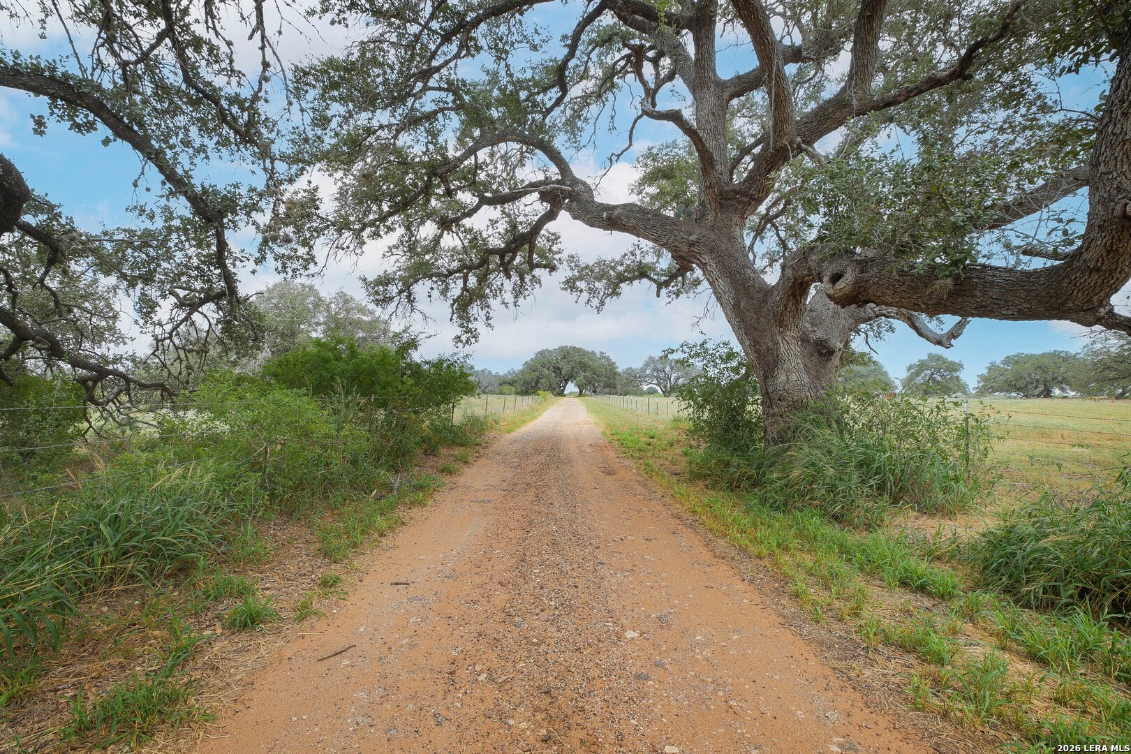 main property photo 56