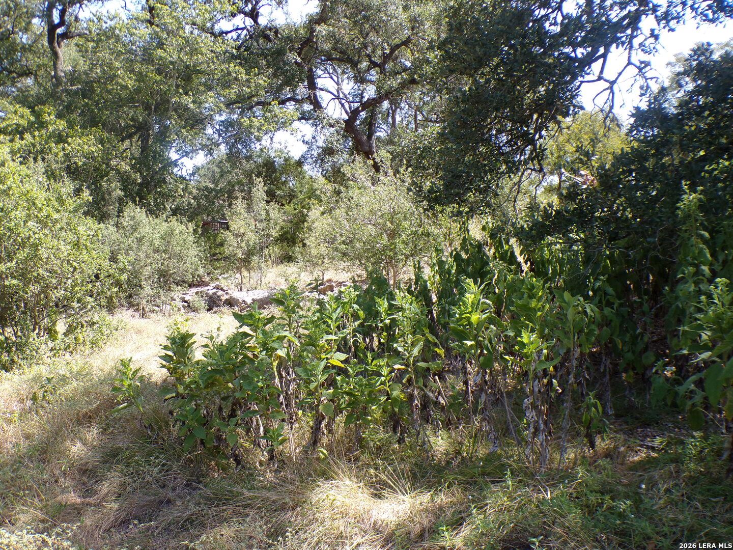 main property photo 12