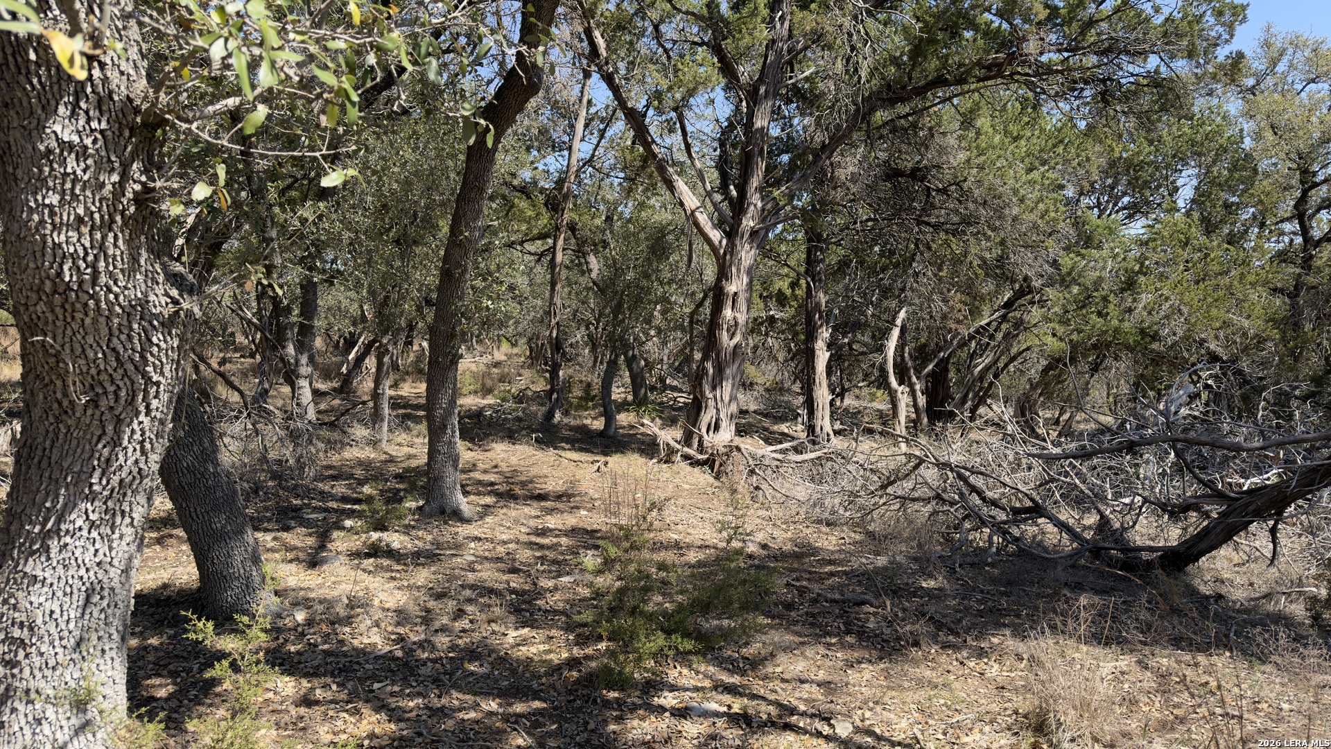 main property photo 17