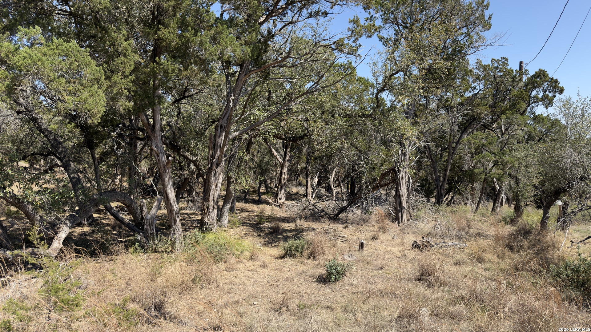 main property photo 18