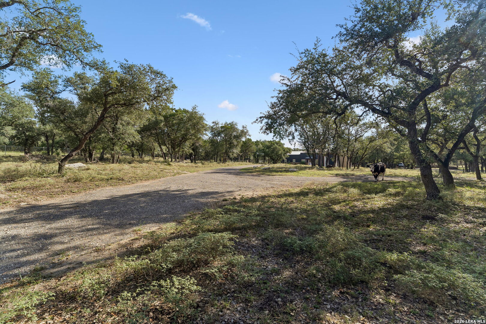 main property photo 169