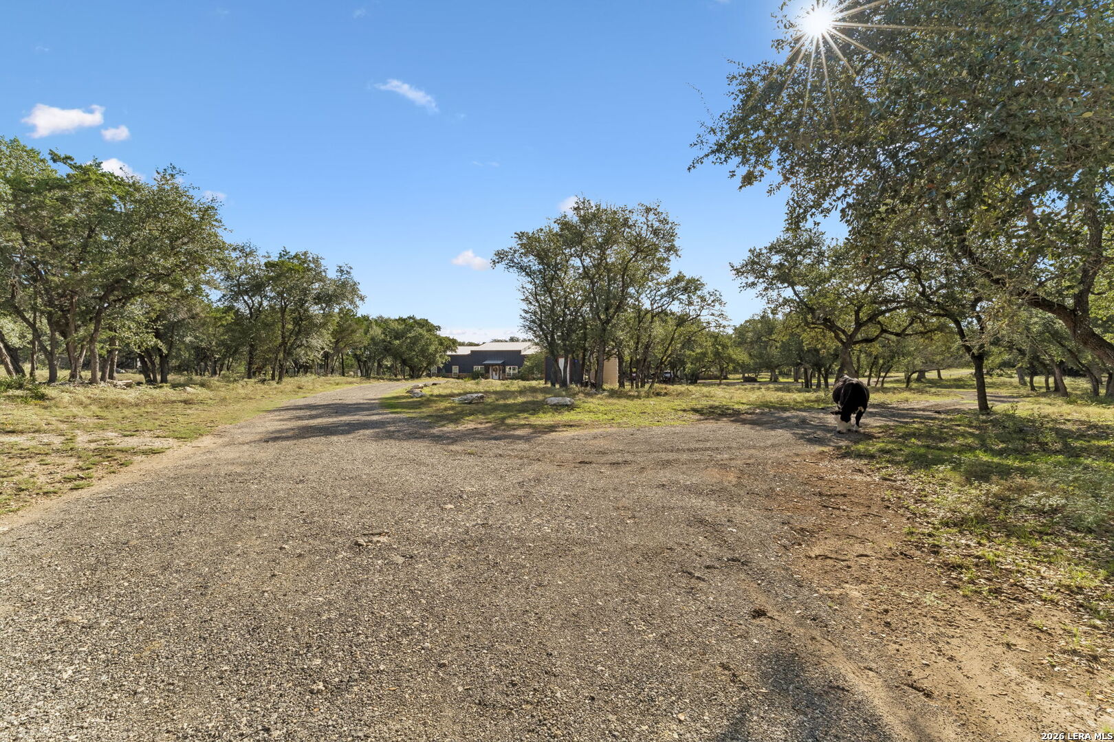 main property photo 170