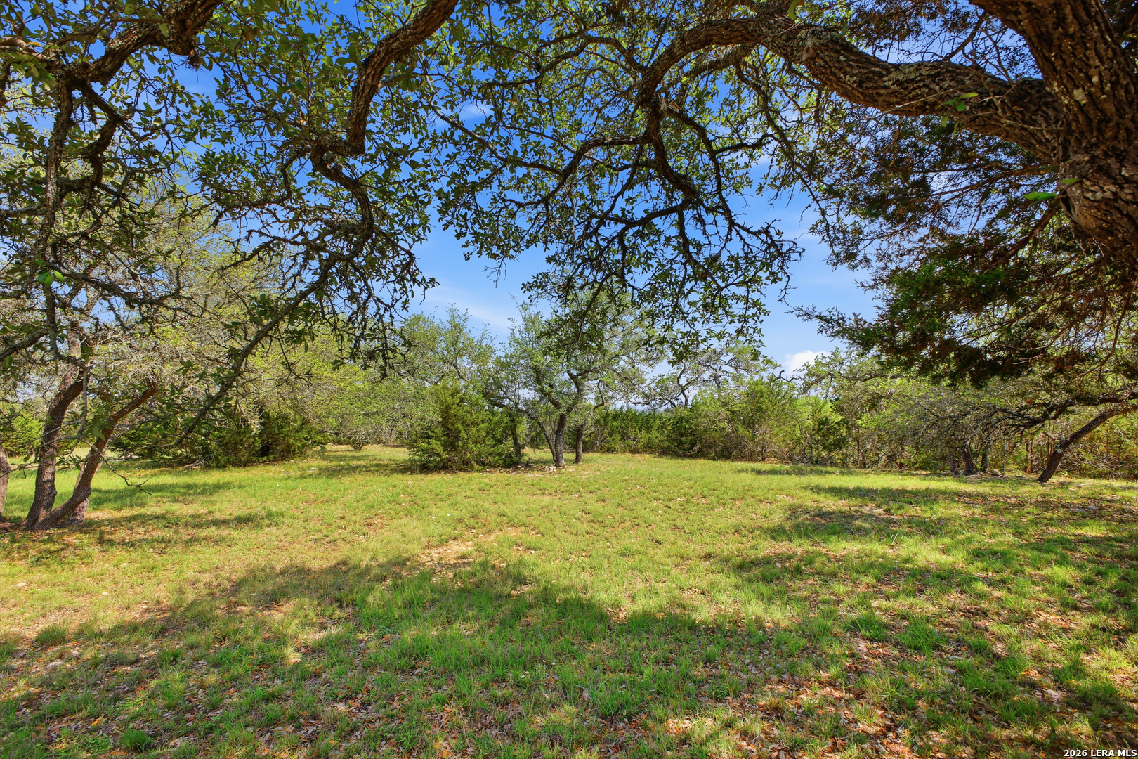 main property photo 39