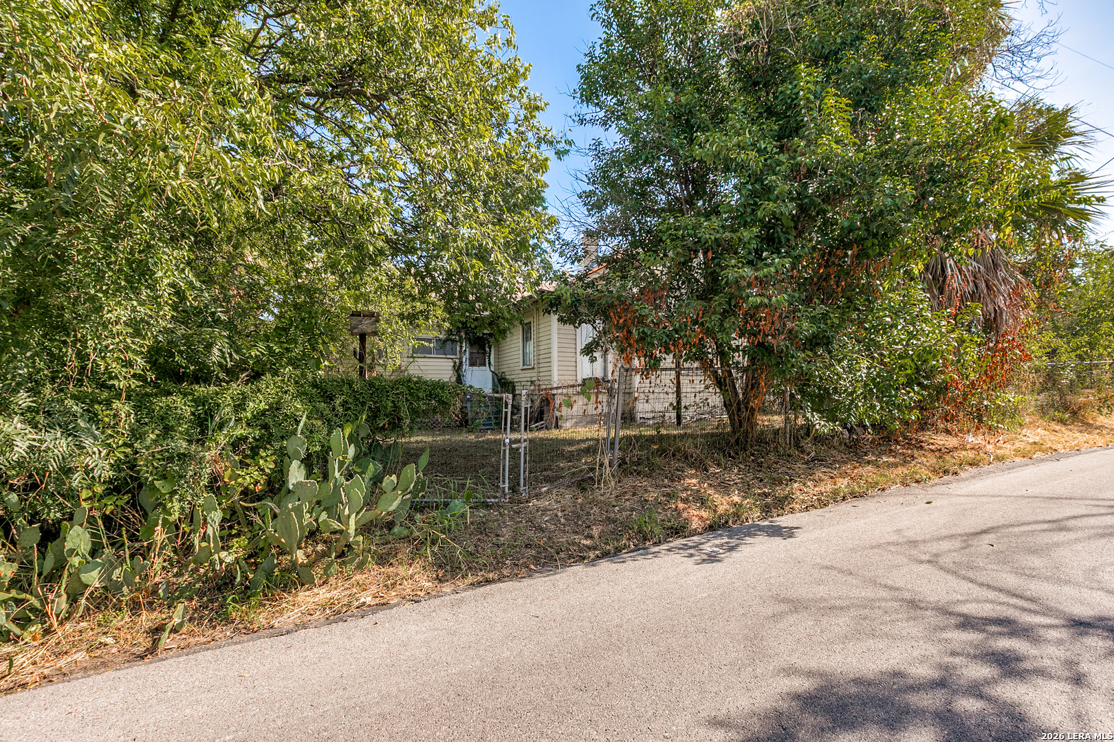 main property photo 4