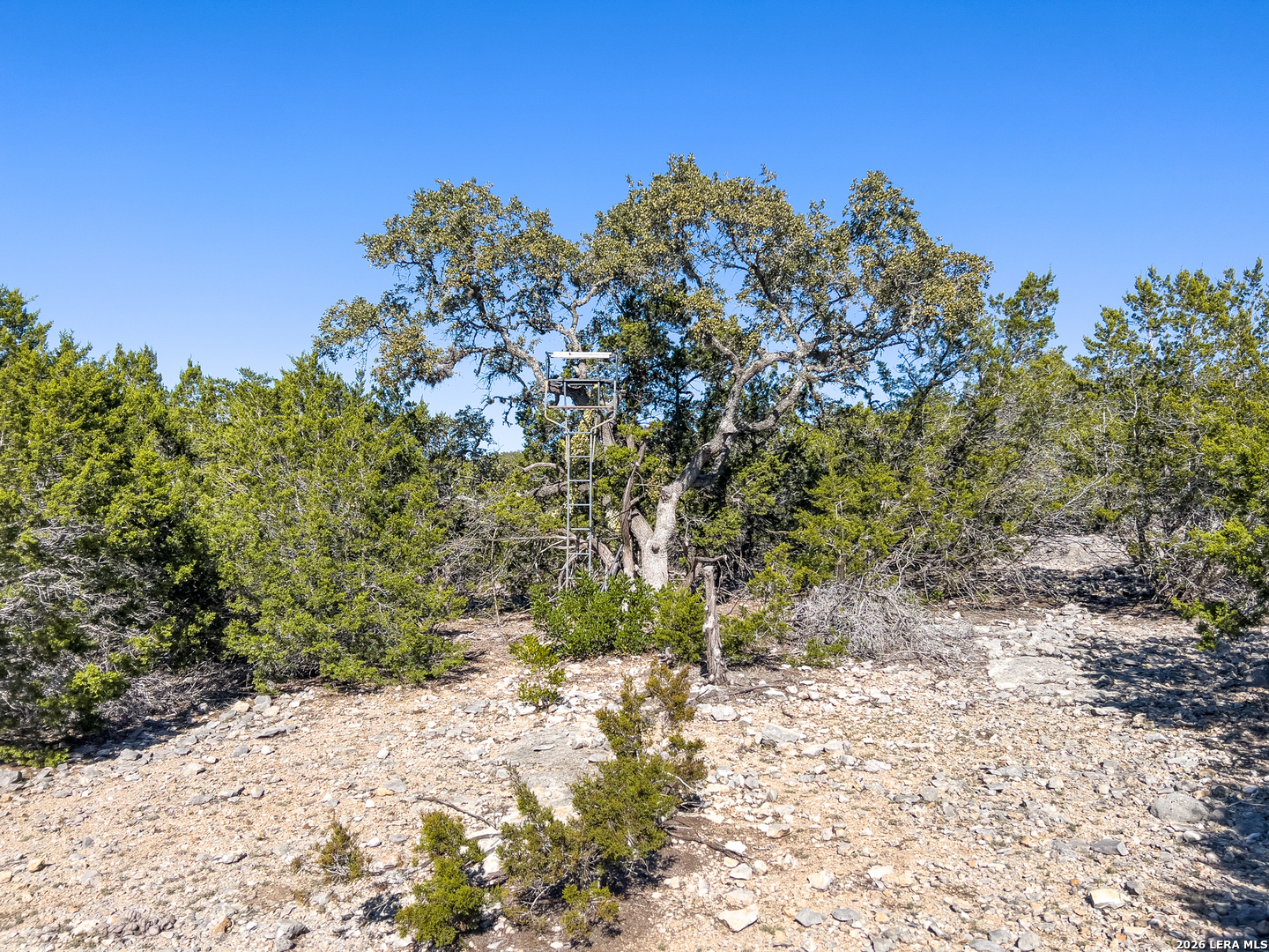 main property photo 38