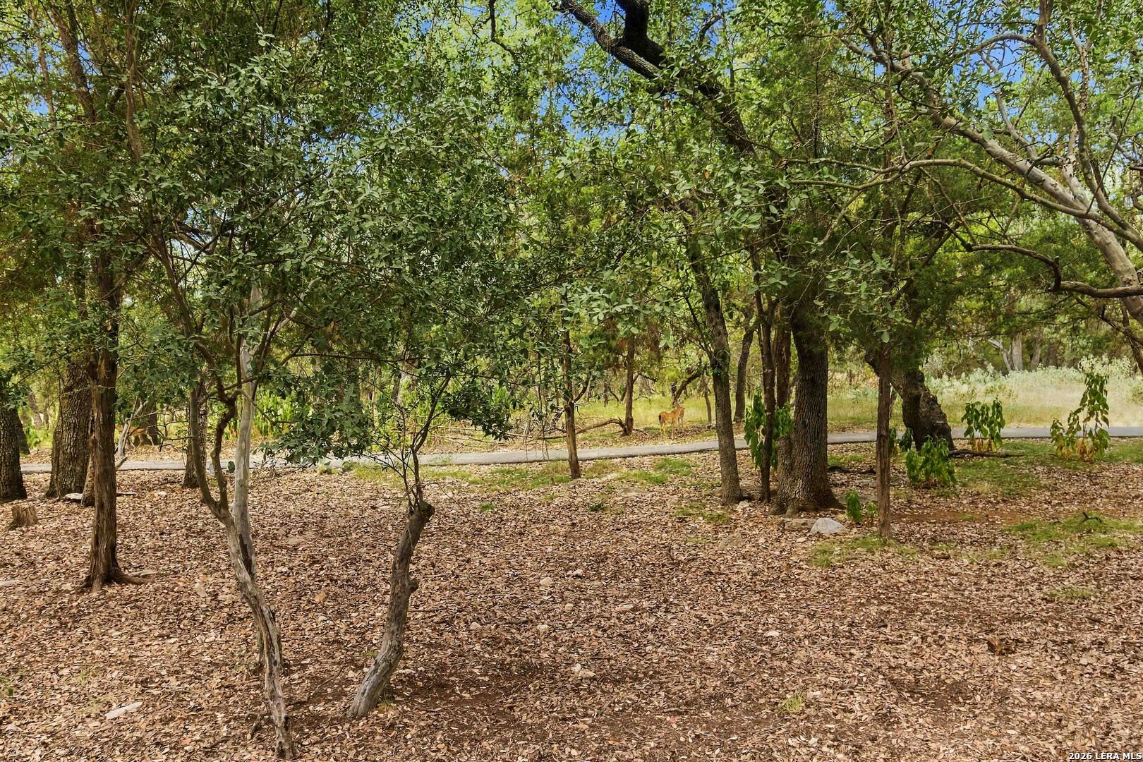 main property photo 35