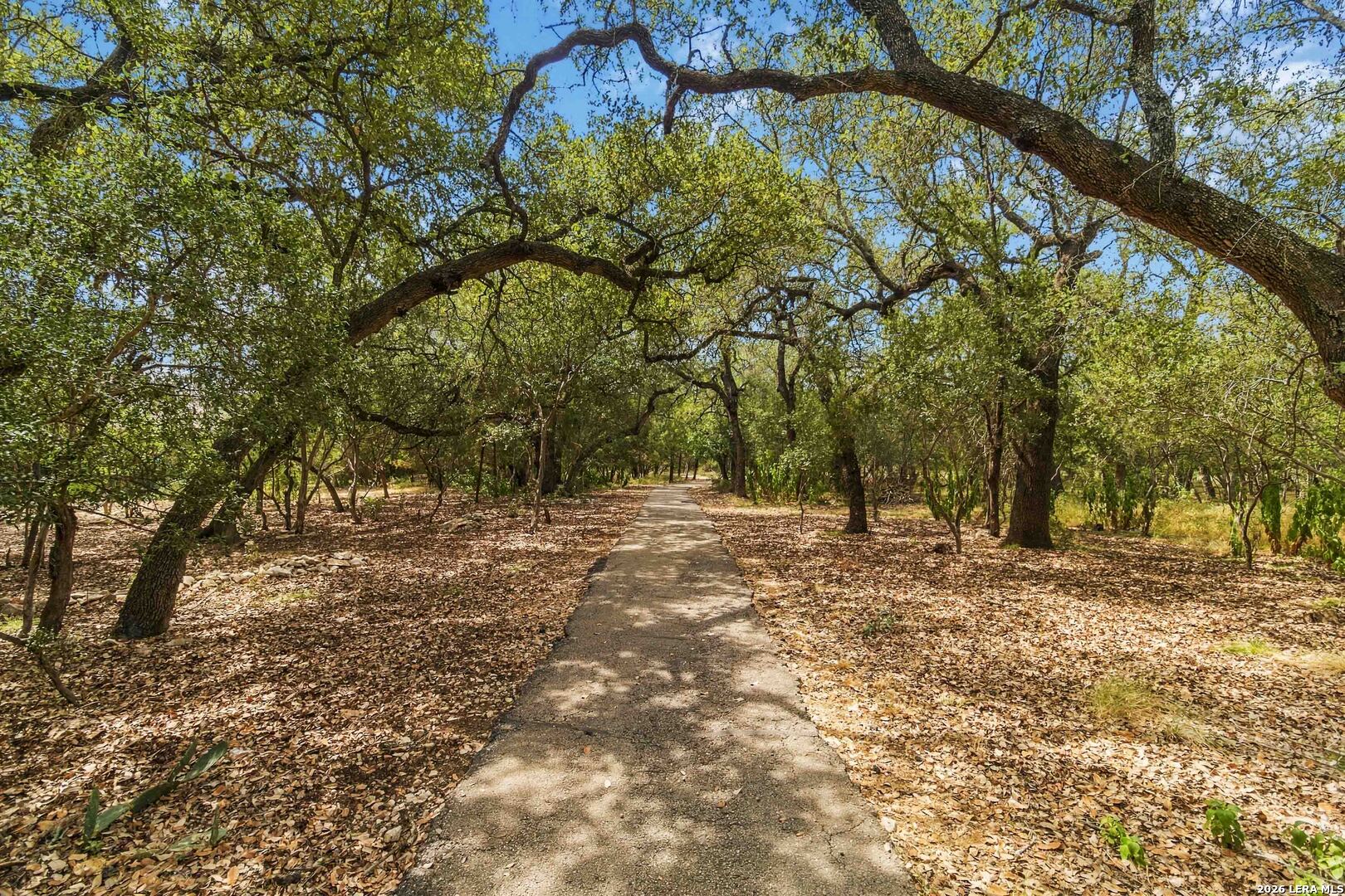 main property photo 36