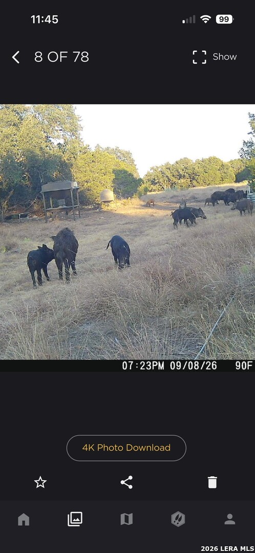 main property photo 51