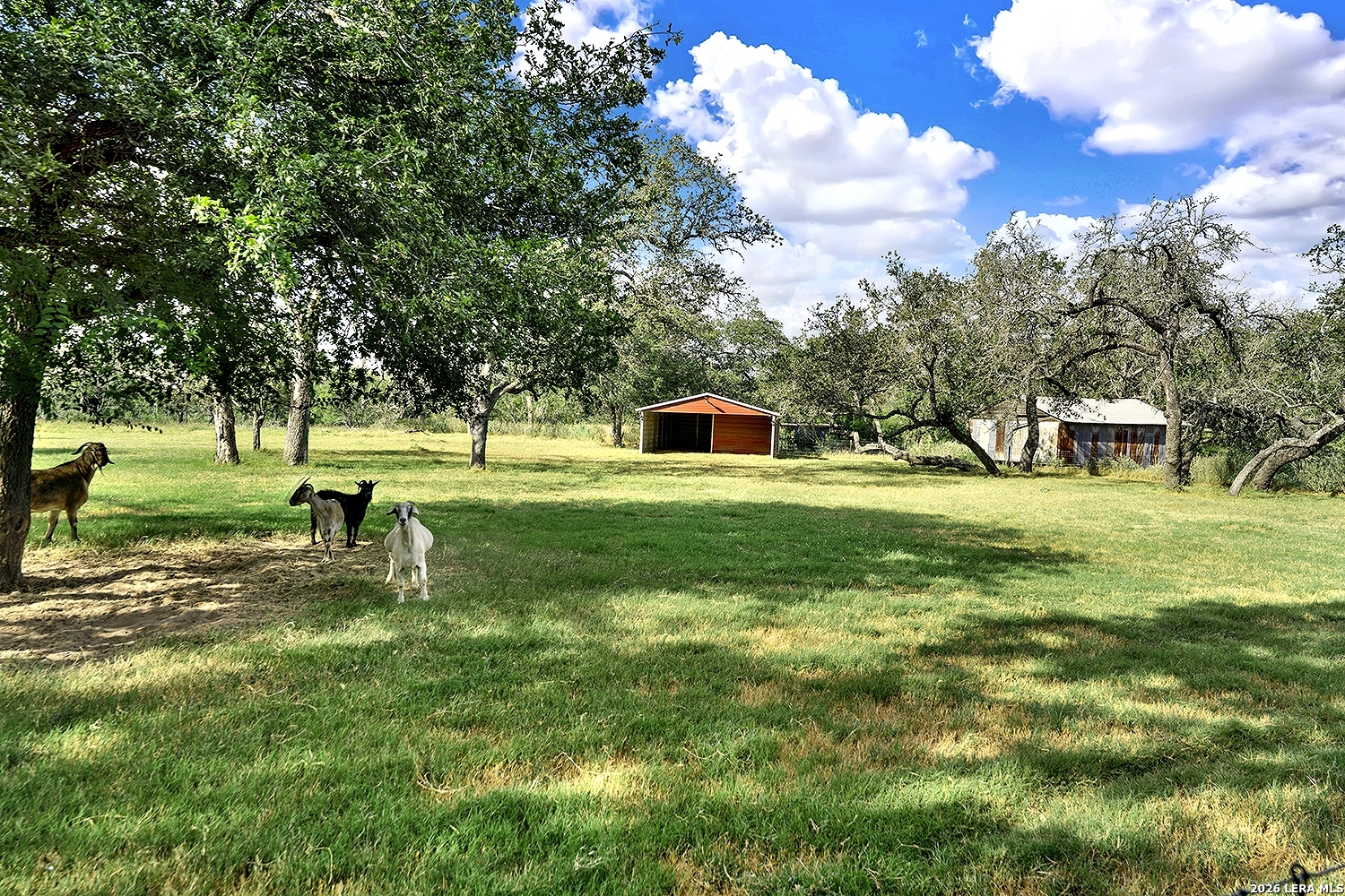 main property photo 16