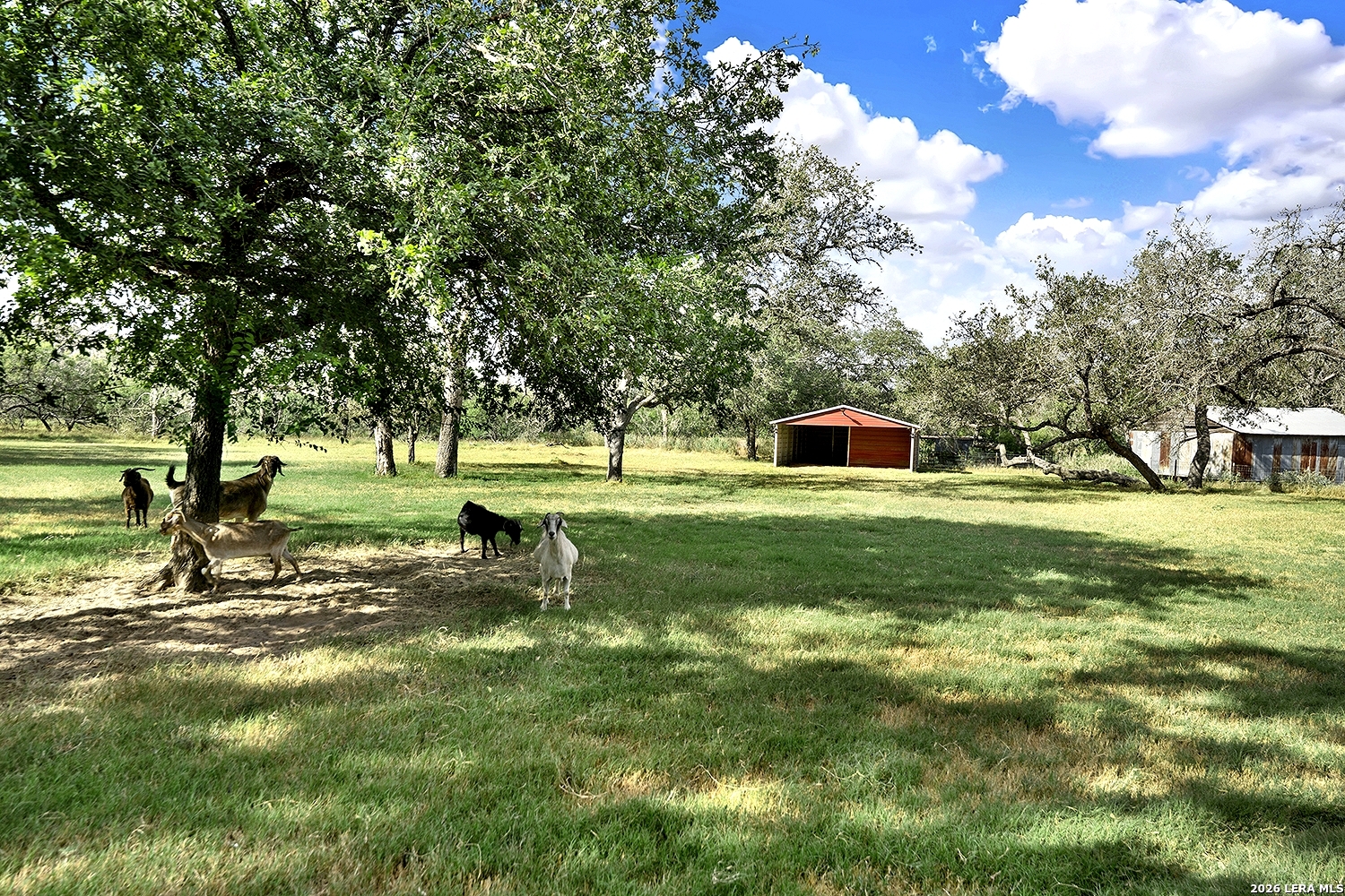 main property photo 17