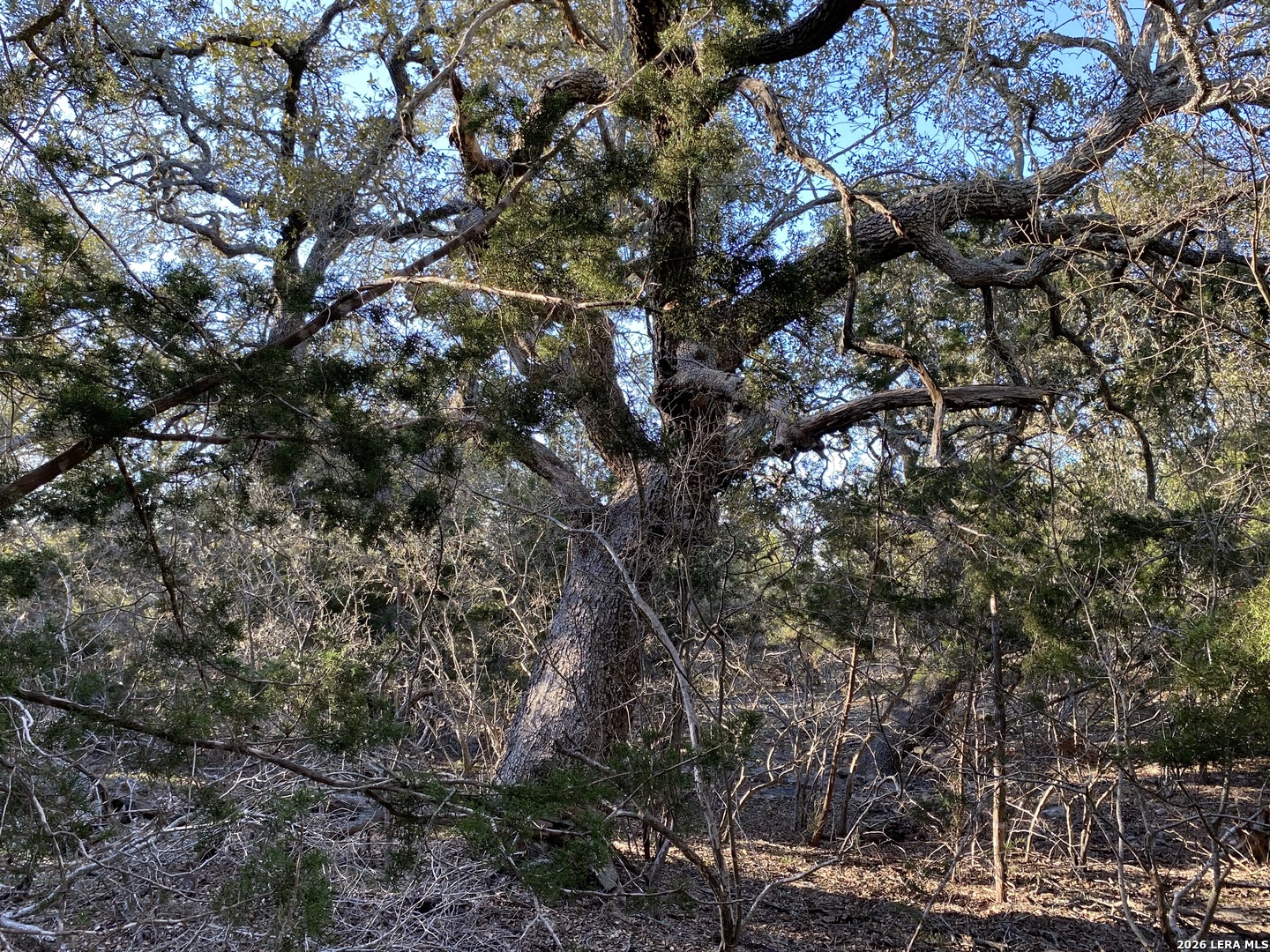 main property photo 19