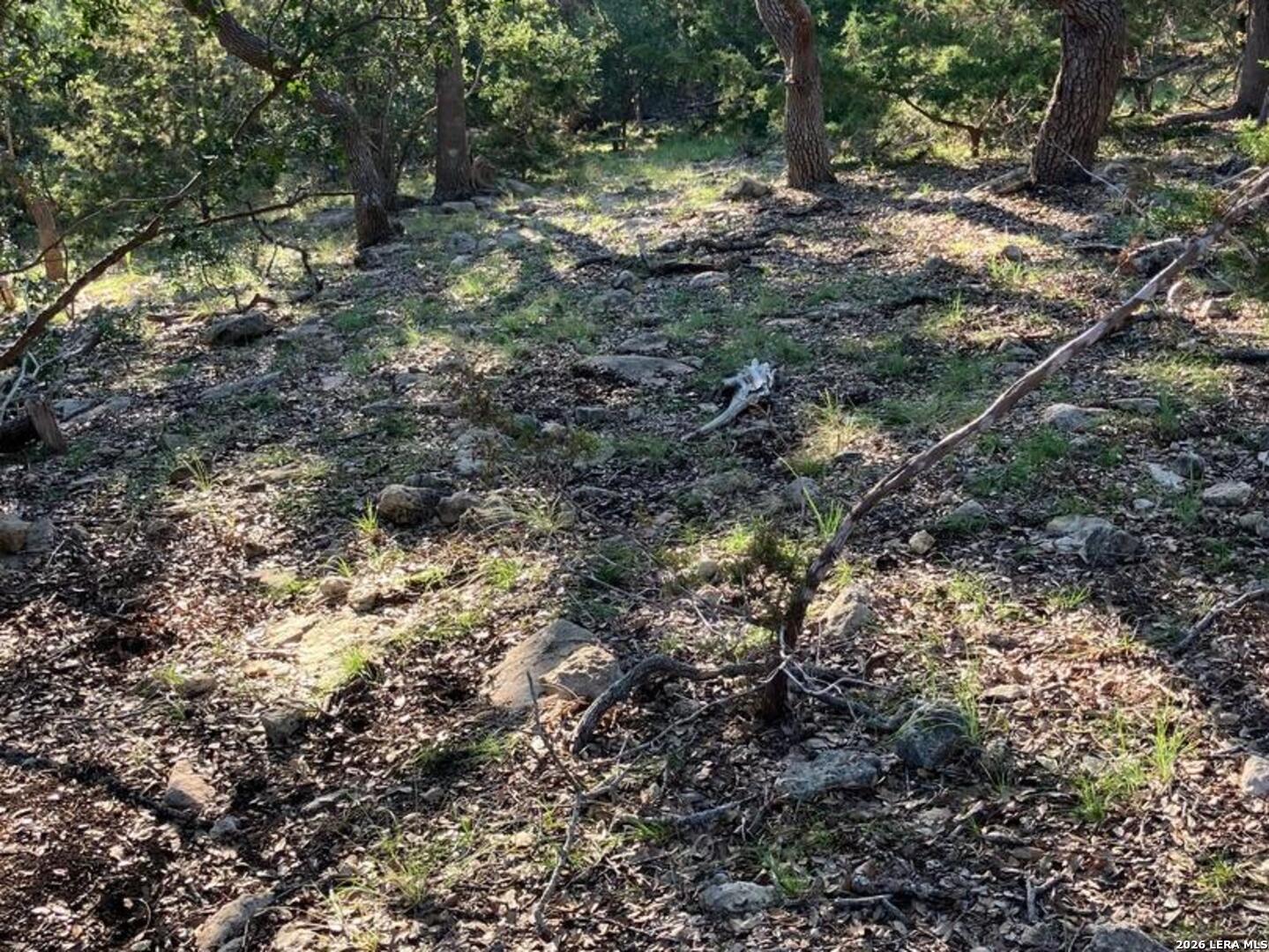 main property photo 37