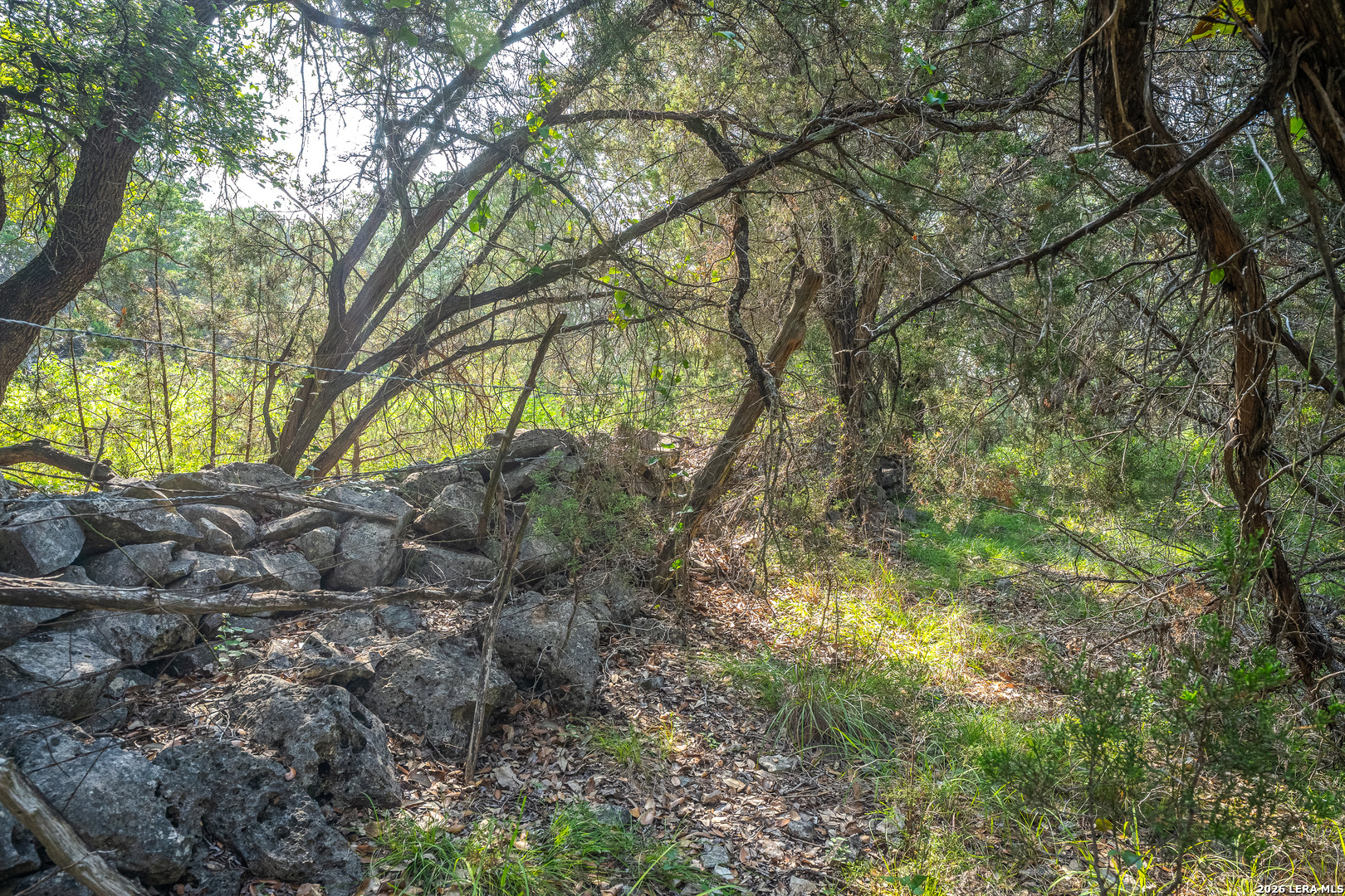 main property photo 11