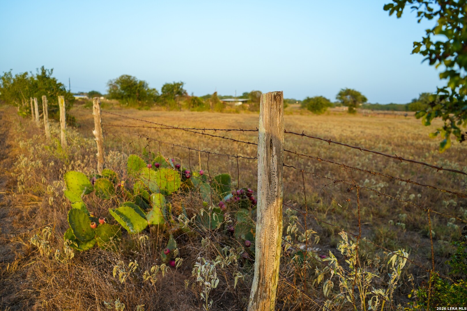 main property photo 37