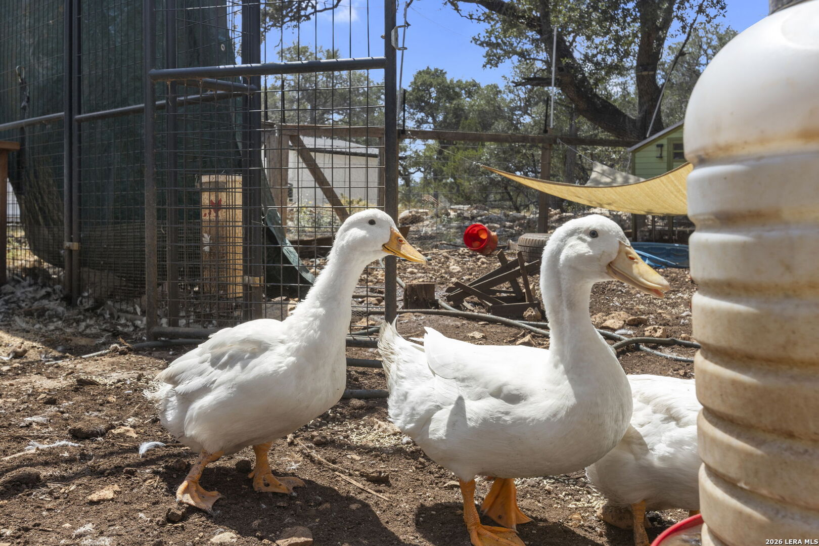 main property photo 29