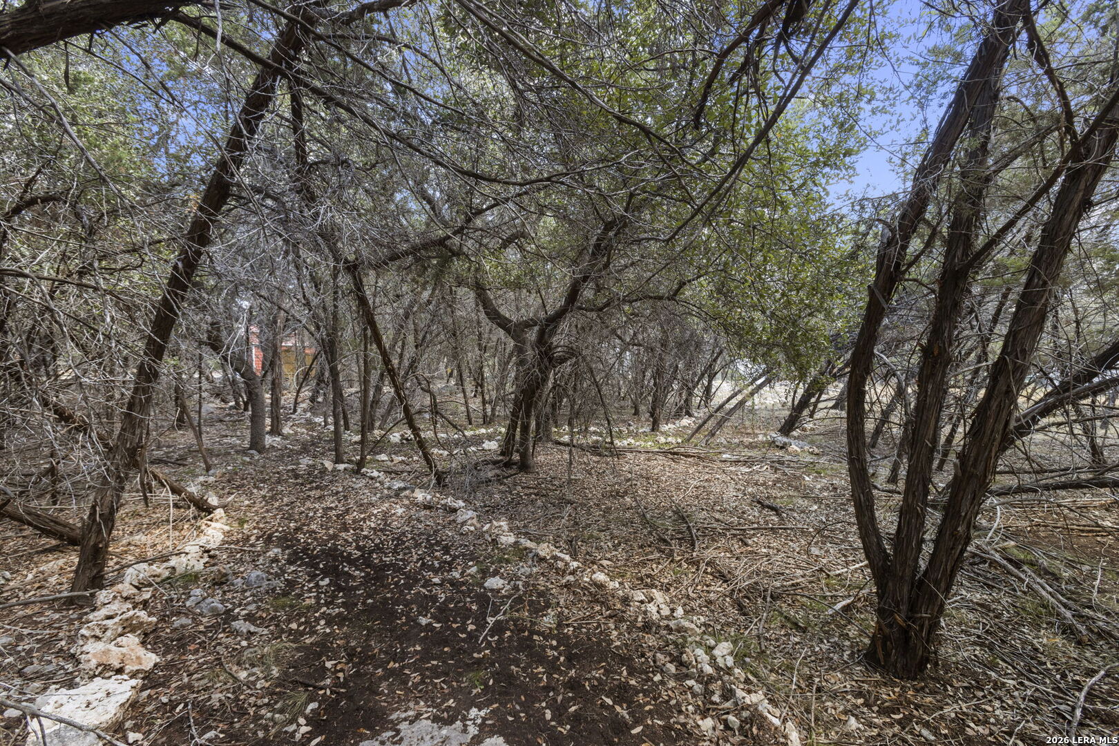 main property photo 45