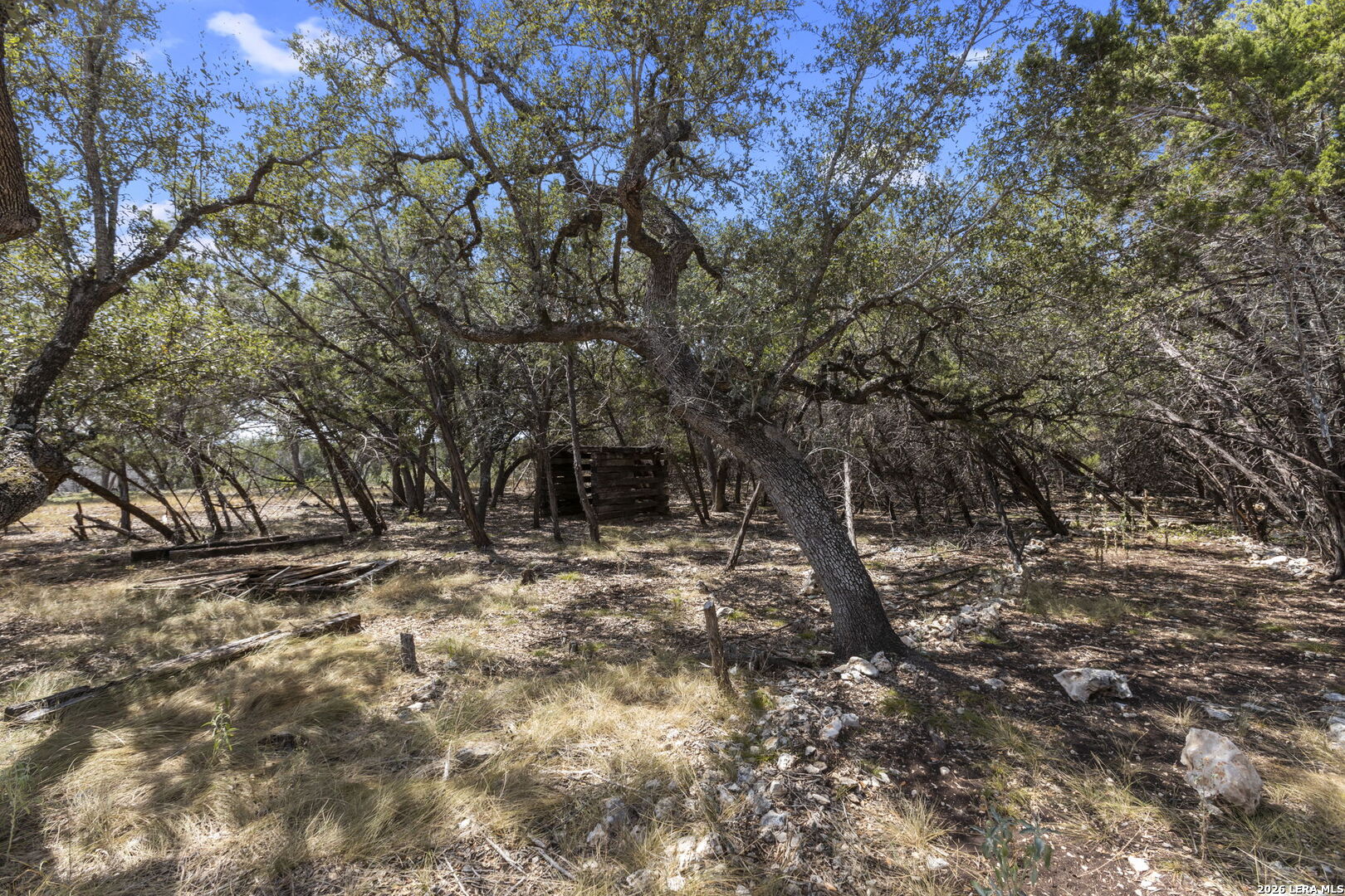 main property photo 46
