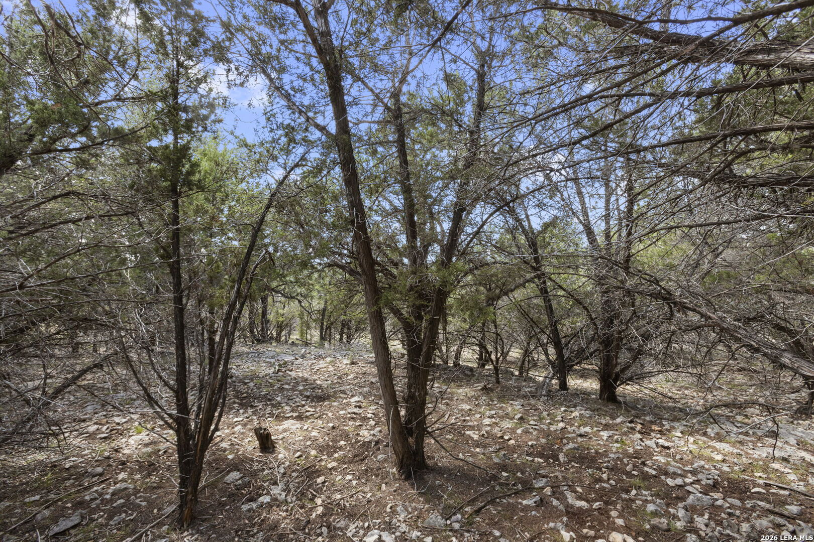 main property photo 47
