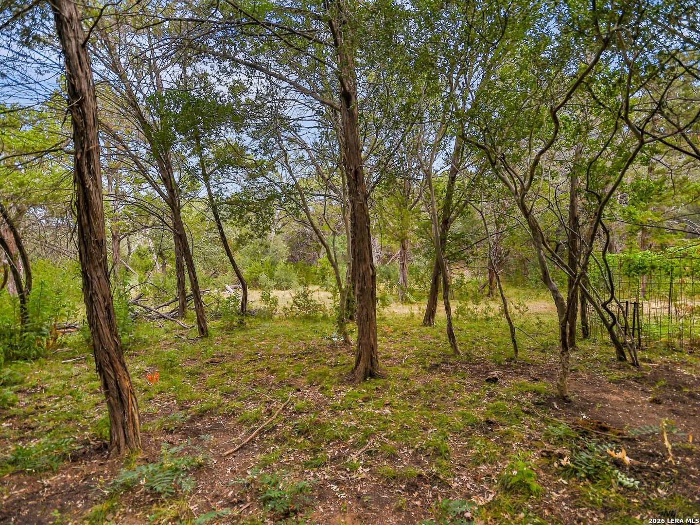 main property photo 17