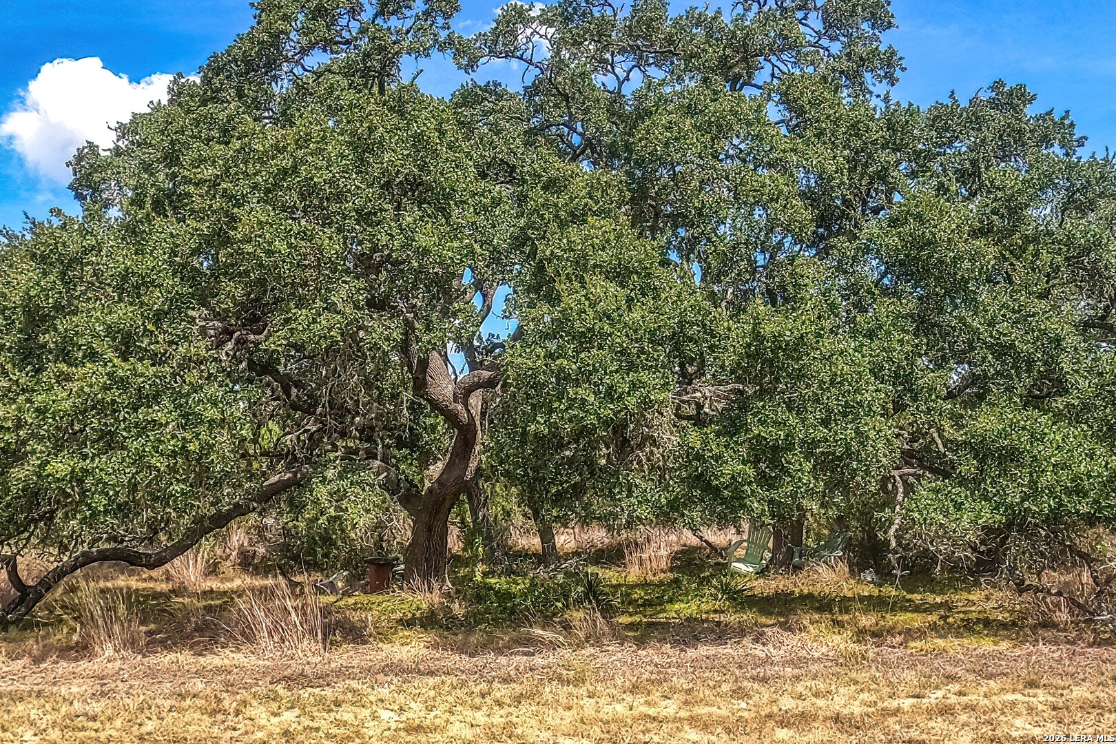 main property photo 11