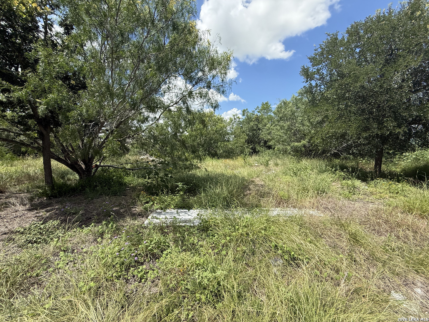 main property photo 28