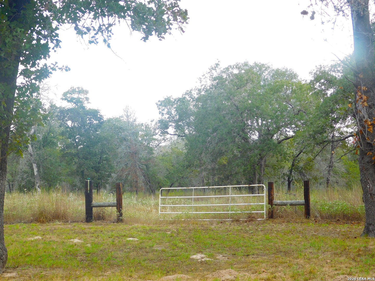 main property photo 46