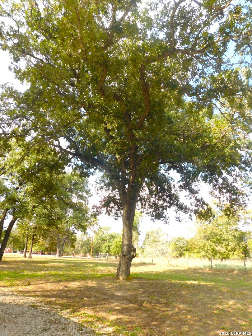 main property photo 51