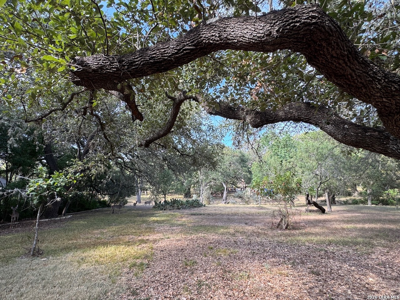 main property photo 49
