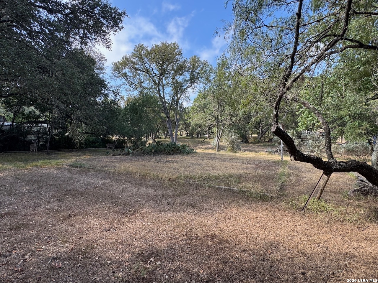 main property photo 51