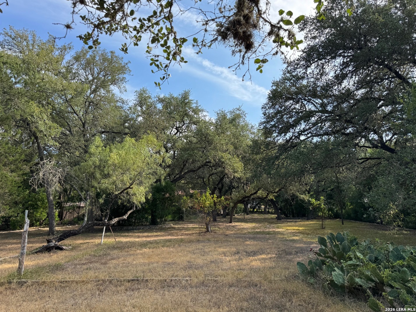 main property photo 54