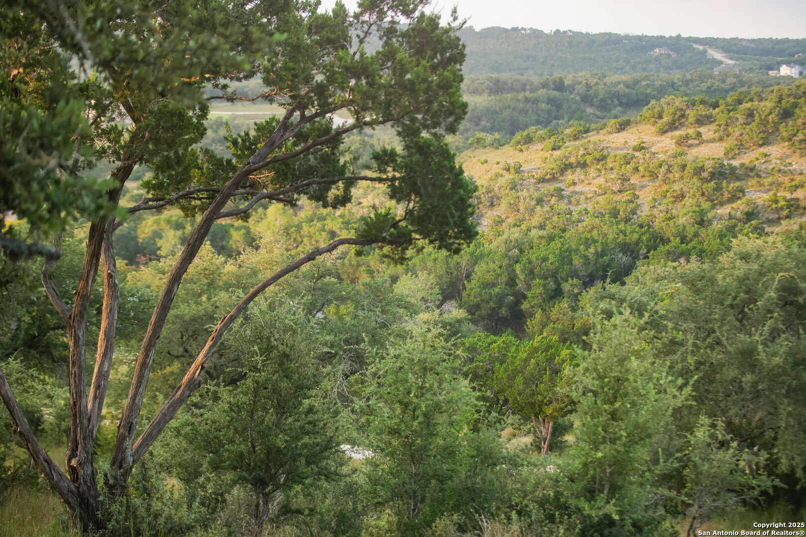 main property photo 77