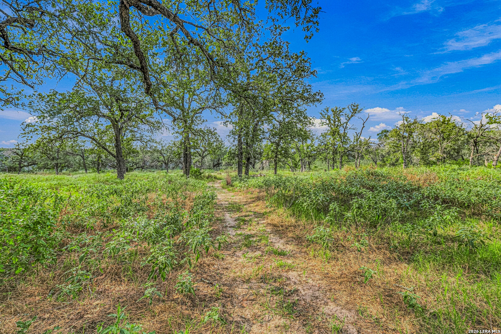 main property photo 45