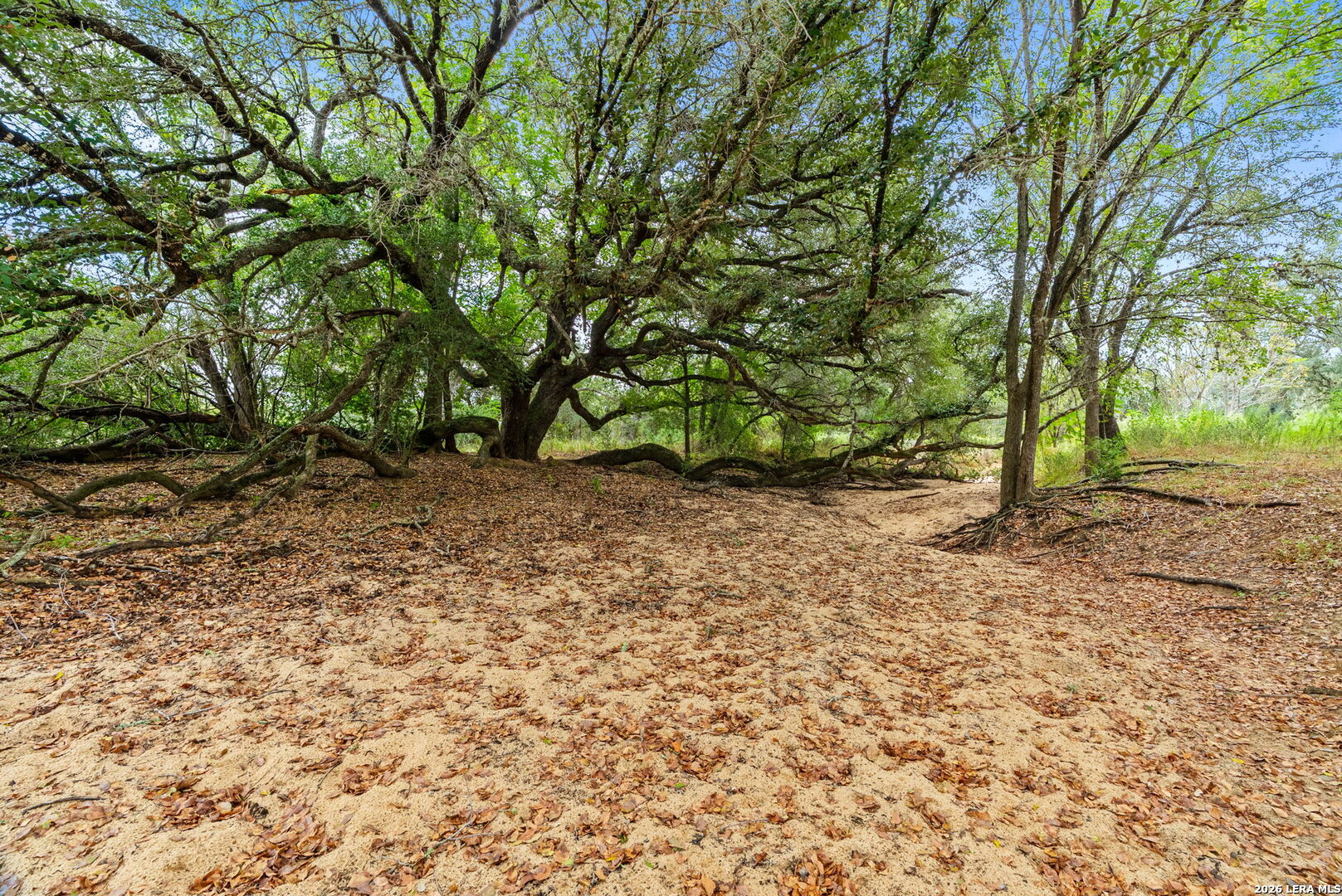 main property photo 36