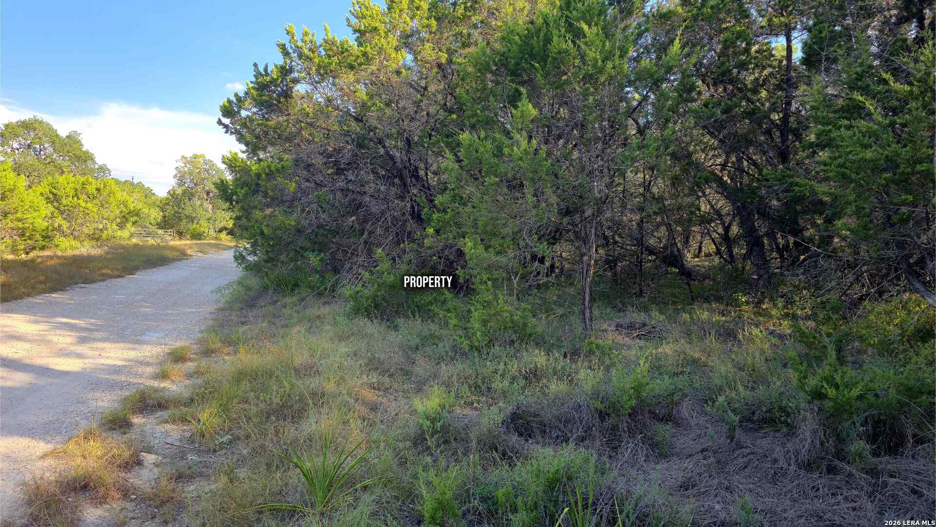 main property photo 20