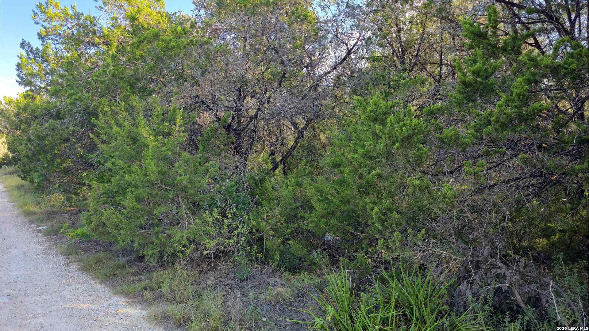 main property photo 21