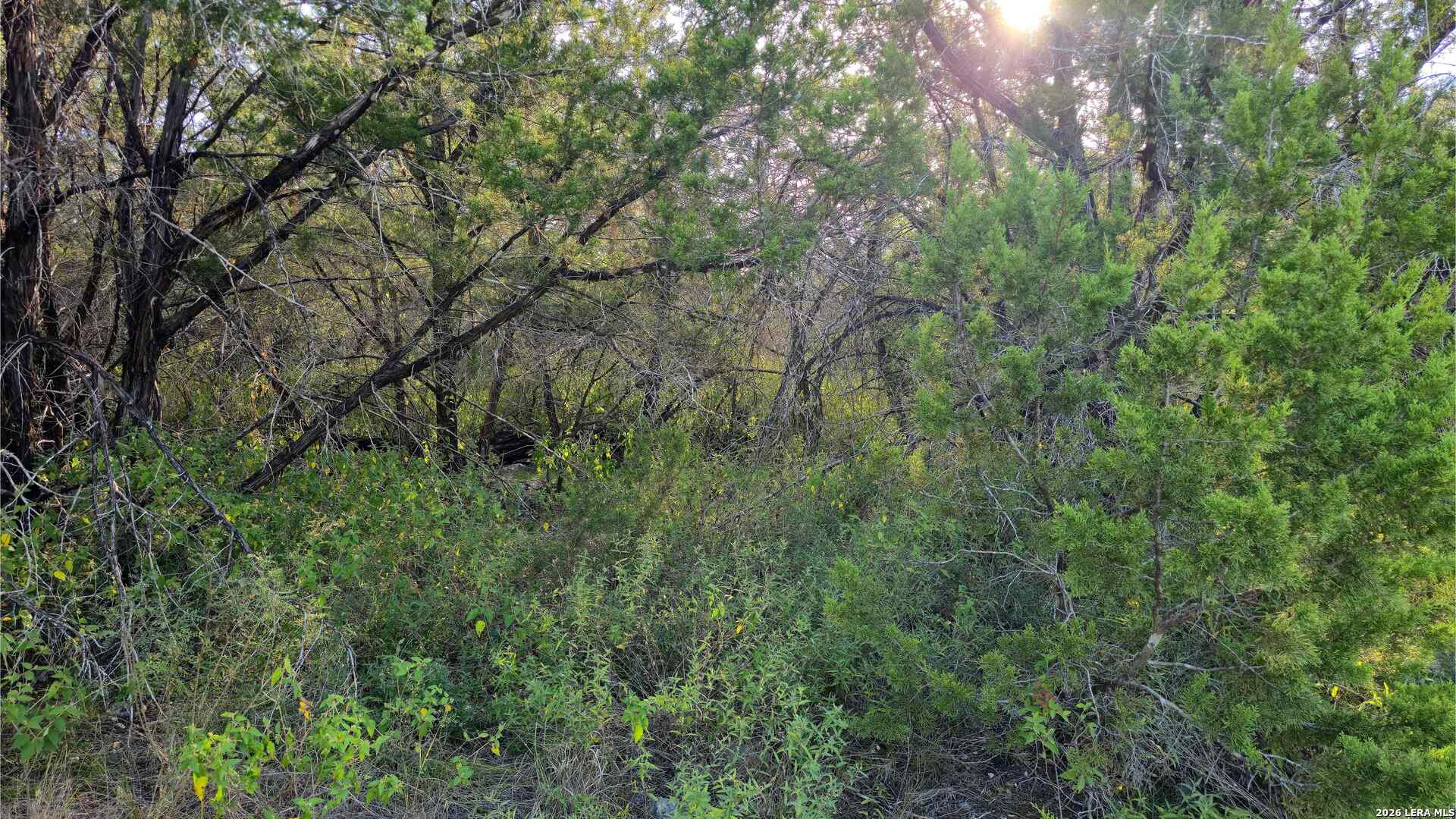 main property photo 25